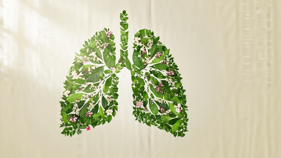 A pair of human lungs beautifully formed entirely out of fresh green leaves, 
small branches and delicate white and pink wildflowers, anatomically recognizable 
but softened and organic. Centered composition on a clean, soft cream background 
with subtle paper texture. Gentle natural morning light coming from the upper left, 
soft shadows, no harsh contrast. Warm, hopeful, healing mood. Botanical art meets 
medical illustration style, highly detailed, photorealistic textures on the leaves. 
Horizontal composition, 3:2 aspect ratio, website header friendly, generous negative 
space around the subject. No text, no logos. {"enable_base64_output":false,"enable_sync_mode":false,"negative_prompt":"","output_format":"jpeg","prompt":"A pair of human lungs beautifully formed entirely out of fresh green leaves, nsmall branches and delicate white and pink wildflowers, anatomically recognizable nbut softened and organic. Centered composition on a clean, soft cream background nwith subtle paper texture. Gentle natural morning light coming from the upper left, nsoft shadows, no harsh contrast. Warm, hopeful, healing mood. Botanical art meets nmedical illustration style, highly detailed, photorealistic textures on the leaves. nHorizontal composition, 3:2 aspect ratio, website header friendly, generous negative nspace around the subject. No text, no logos.","seed":-1,"size":"1280*720","strength":0.6}
